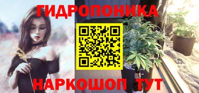 сатива Новодвинск